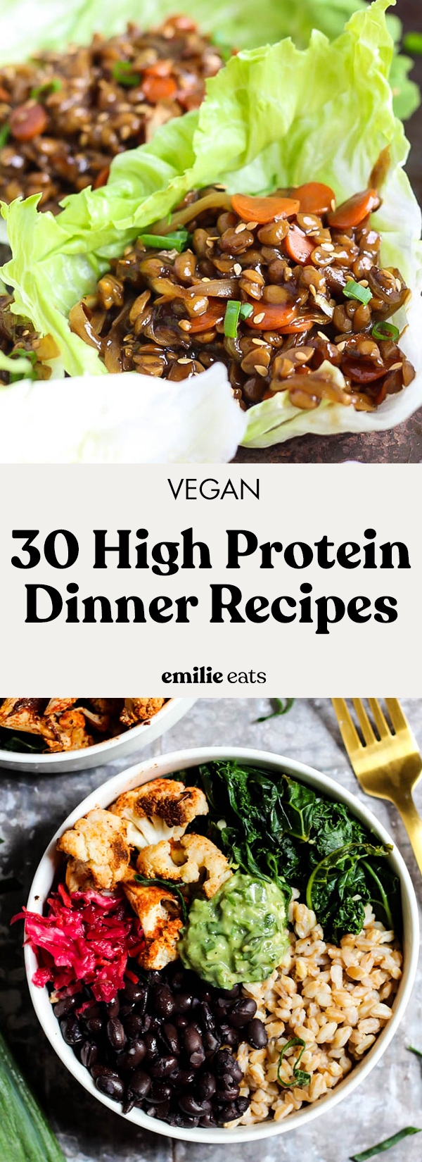 30 High Protein Vegan Dinners Emilie Eats