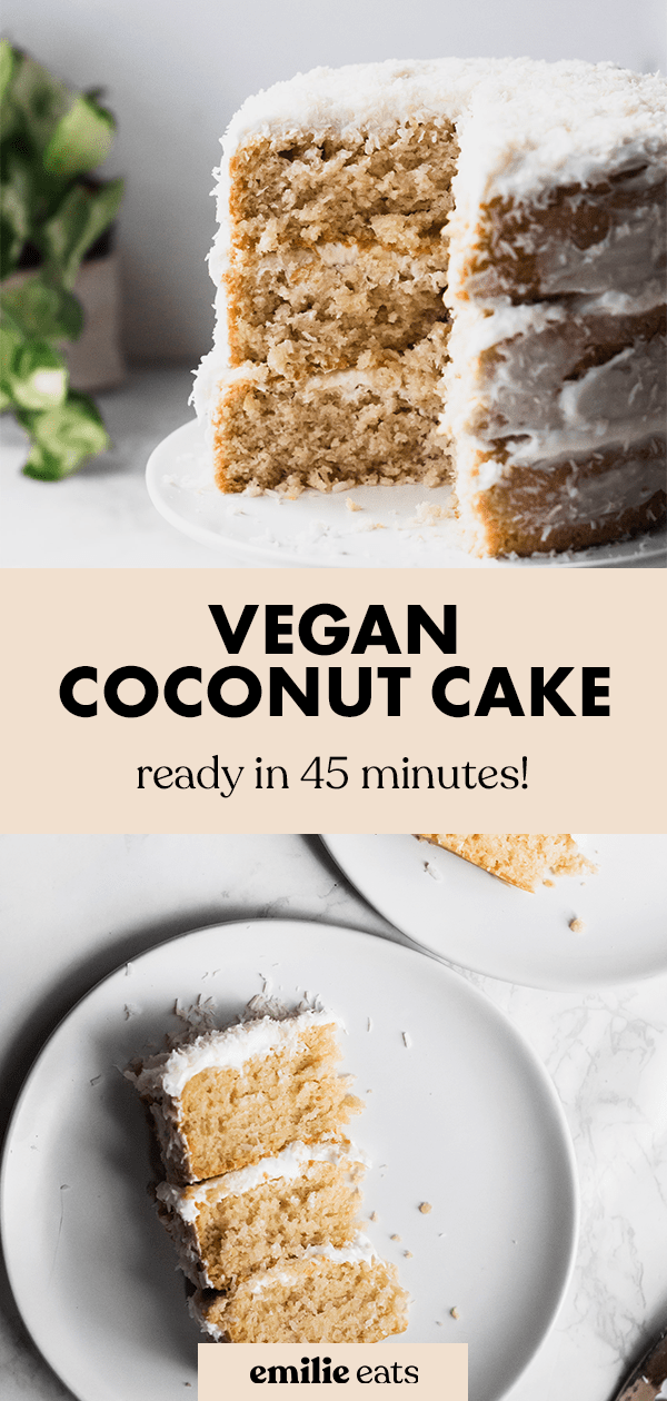 Vegan Coconut Cake (nut-free & soy-free) – Emilie Eats