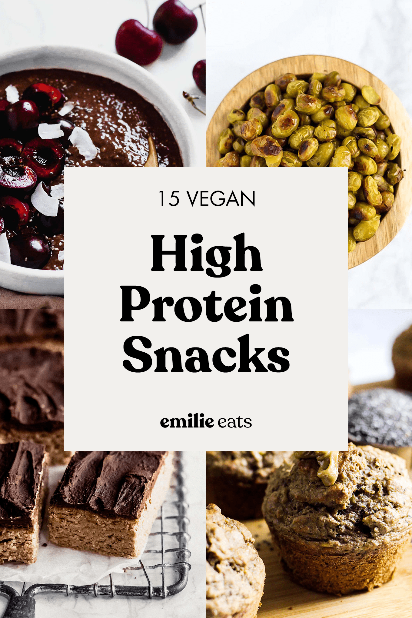 Plant-based protein snacks
